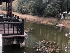 -悦禧耕岛酒店·指月坞餐厅·旺山特色农家乐