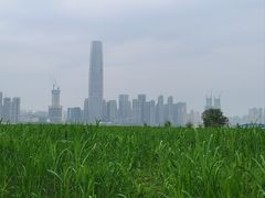 -毛氏汽水包(山海关路店)