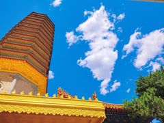 -八大处公园