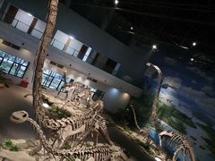 -自贡恐龙博物馆