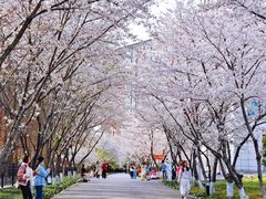 -南京明基医院