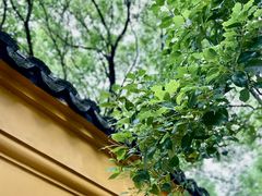 -西园戒幢律寺