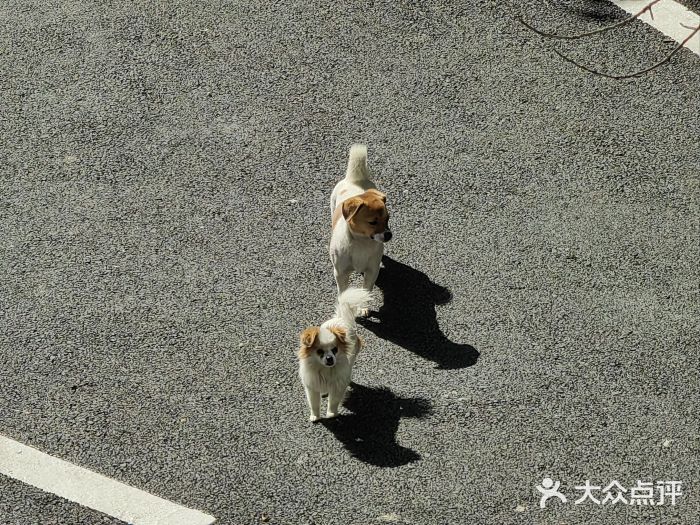 望江第二中学图片