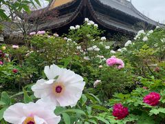 -龙华寺