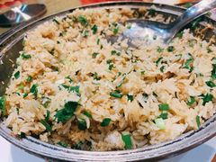 台山黄蟮饭-鹅城