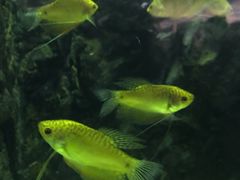 -苏州海洋馆