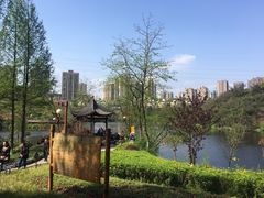 -重庆彩云湖湿地公园
