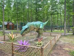 -黄海国家森林公园