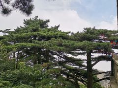 -天柱山风景区