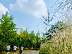 -梁鸿国家湿地公园