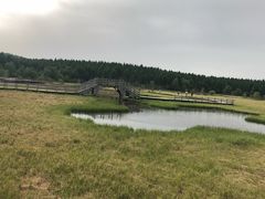 -塞罕坝国家级自然保护区