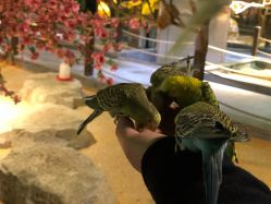 -酷嗒动物文化乐园(cutezoo西溪乐天城店)