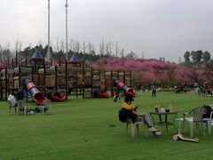 -秀丽东方