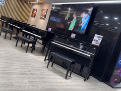 -雅马哈乐器专卖店(广州旗舰店)