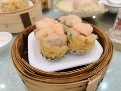 鲜虾烧卖皇-坚记酒家·佛山老字号·顺德鱼生标准示范店