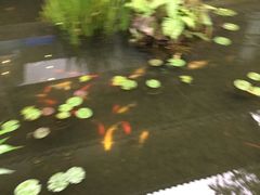 -大妙火锅·非物质文化遗产(东湖公园店)