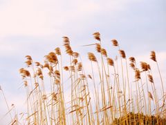 -云漫湖生态度假公园