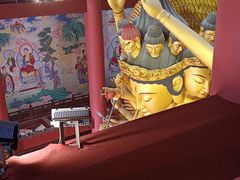 -上海东林寺(金山区)
