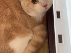 -艾贝尔宠物医院 ·中兽医·宠保定点(北门桥店)