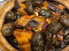 紫苏石螺茄子煲-粤·向群饭店(龙津东路总店)