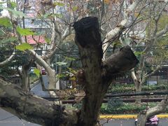 -五观堂素食(新华路店)