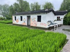 -溱湖国家湿地公园