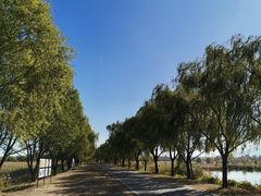 -野鸭湖国家湿地公园