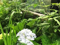 -北马山庄植趣咖啡