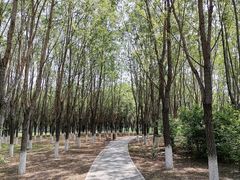 -东郊湿地公园