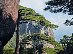 -黄山风景区