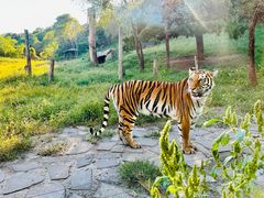 -沈阳森林动物园