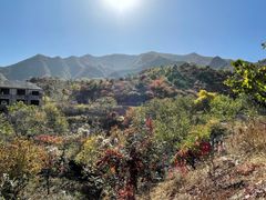 -水峪民俗村