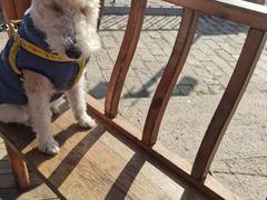 -长兴菜馆(高桥店)