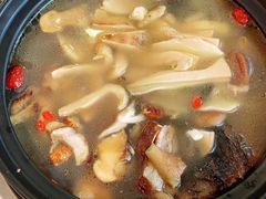 -蘑统田下·野生菌火锅