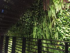 -外婆家(杭州马塍店·杭帮菜名店)