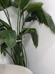 -Dr.Jane皮肤管理中心