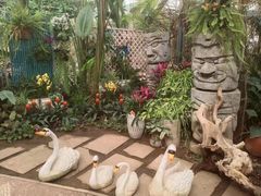 -石家庄市植物园