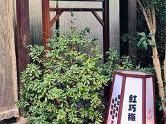 -杭州第一世界大酒店·云曼温泉