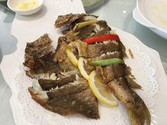 -骏莱海鲜鱼港(五角场店)
