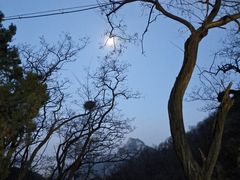 -泰山风景名胜区