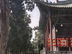 -关林