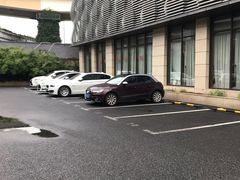 -上海仁爱医院