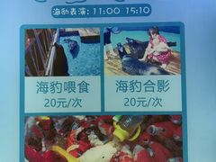 -锦艺城海洋馆
