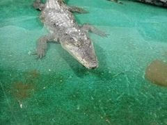 -重庆欢乐海底世界