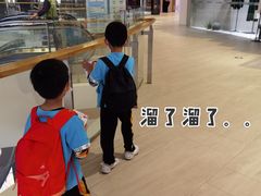 -TOYSRUS玩具反斗城(凯德广场云尚店)
