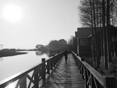 -苏州太湖国家湿地公园