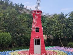 -广州白江湖森林公园