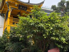 -泸州老窖景区