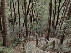 -南山植物园