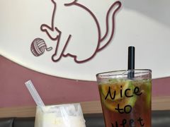 -喵园·猫主题咖啡厅·撸猫·猫咖(国贸店)